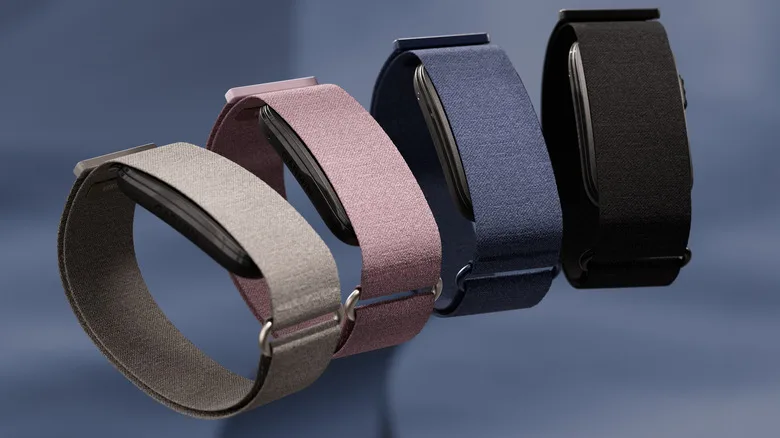 Four screenless fabric-band fitness trackers